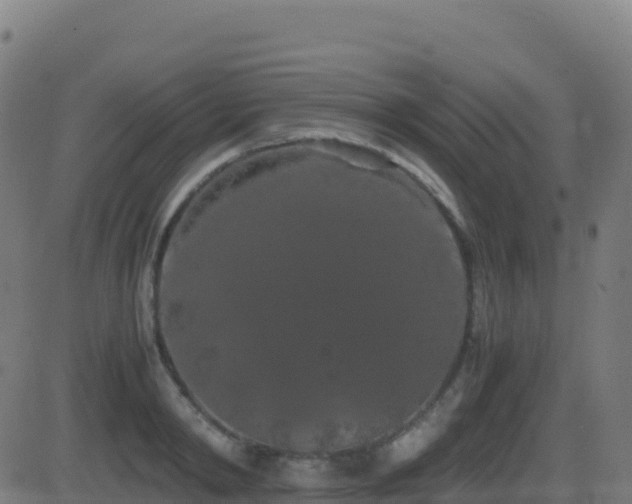 X0000081490798200701121509