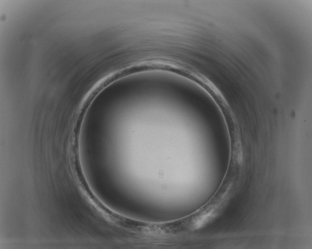 X0000081490799200701121509