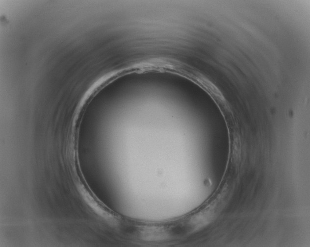 X0000081490800200701121509