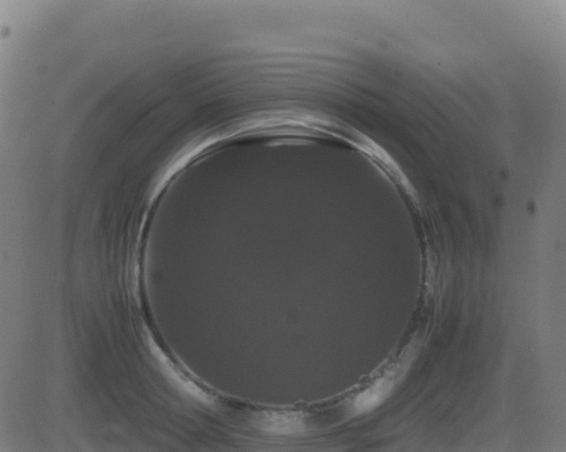 X0000081490802200701121508