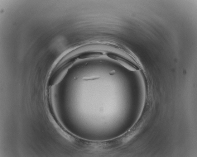 X0000081490803200701121508