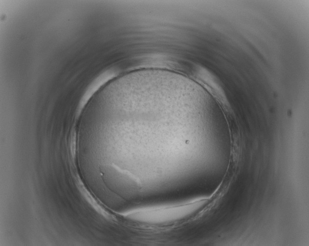 X0000081490804200701121508