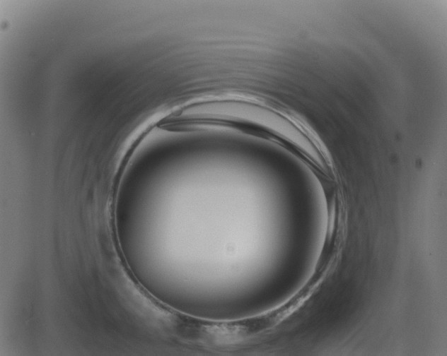 X0000081490805200701121508