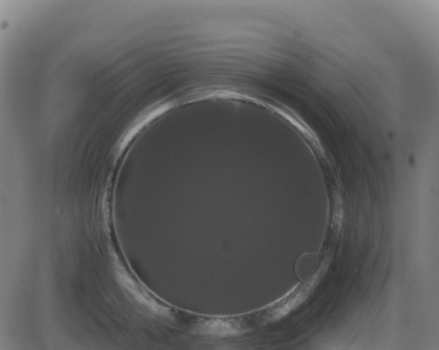 X0000081490806200701121508