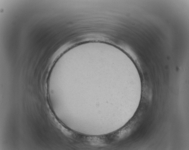 X0000081490807200701121508