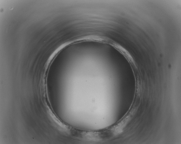 X0000081490808200701121508