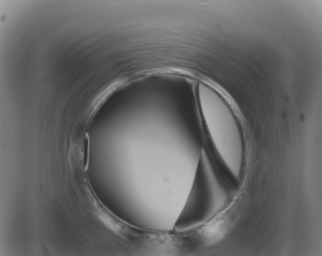 X0000081490809200701121508