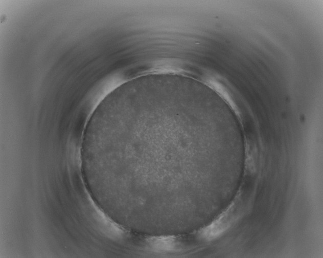 X0000081490810200701121508