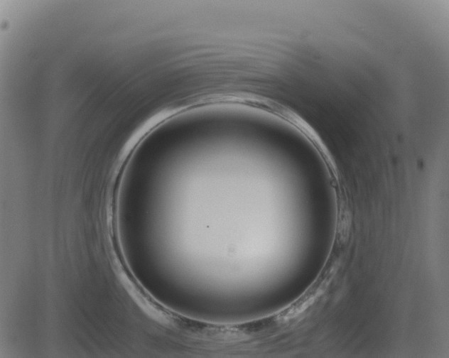 X0000081490811200701121508