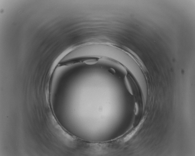 X0000081490812200701121508