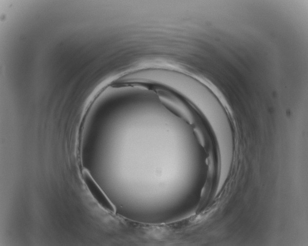 X0000081490815200701121508