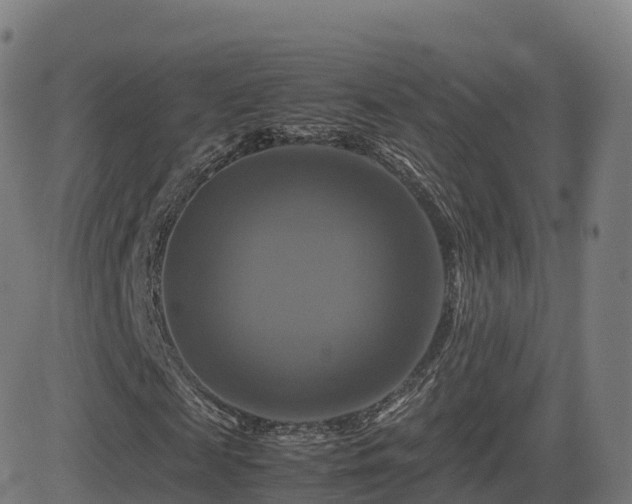 X0000081490817200701121507