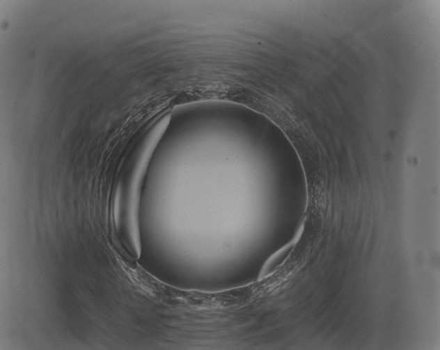 X0000081490818200701121507