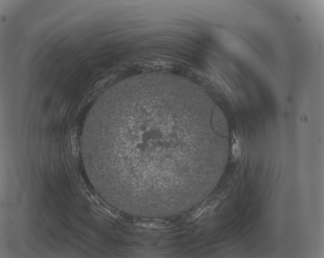 X0000081490819200701121507