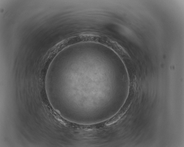 X0000081490821200701121508