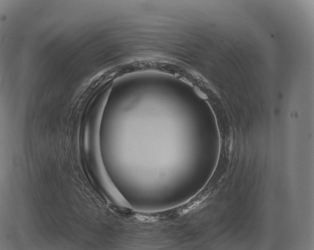 X0000081490822200701121508