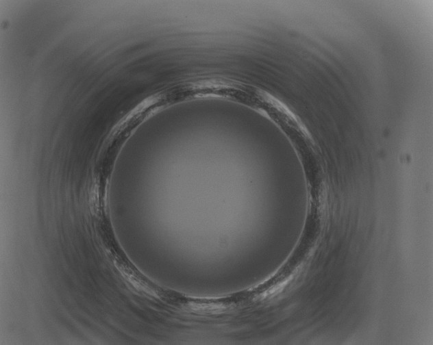 X0000081490825200701121508