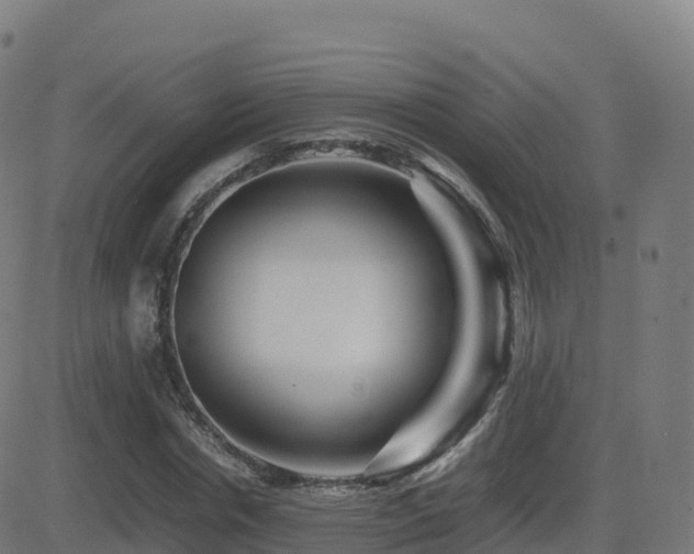 X0000081490826200701121508