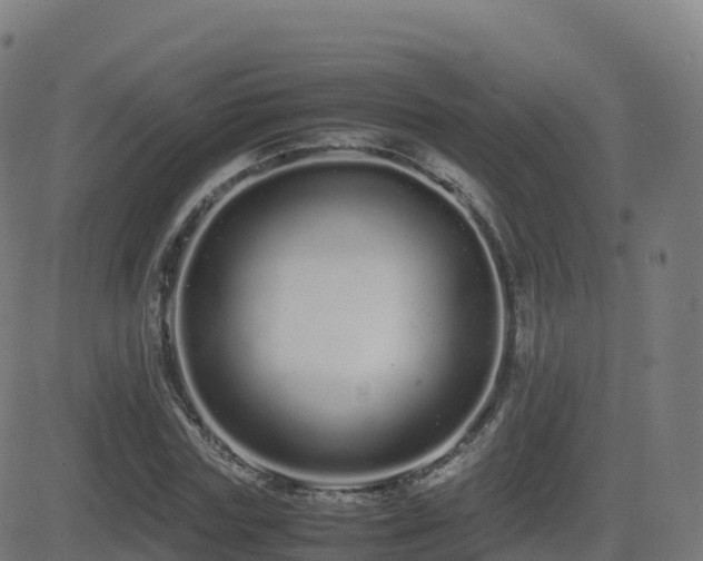 X0000081490827200701121508