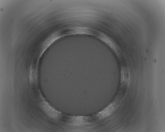 X0000081490828200701121508