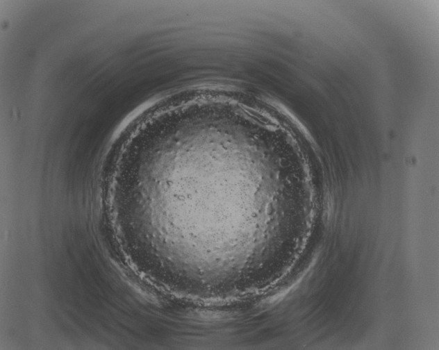 X0000081490829200701121508