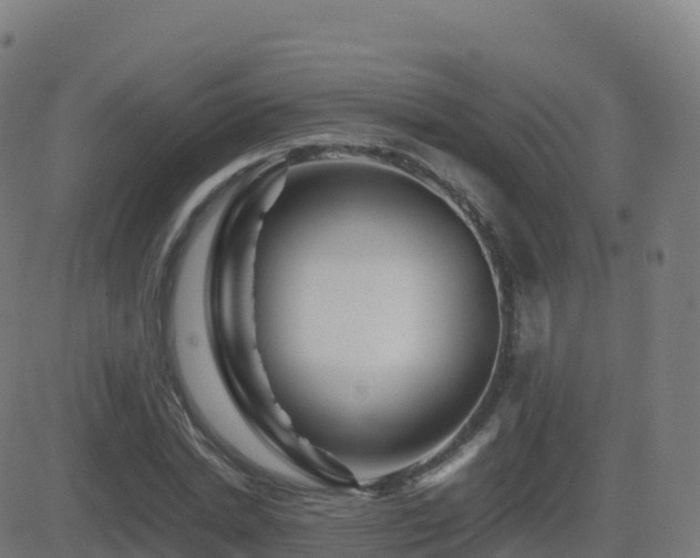 X0000081490830200701121508