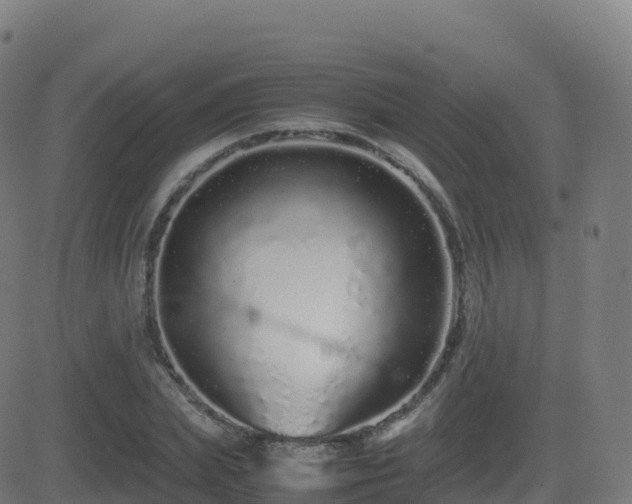 X0000081490831200701121508