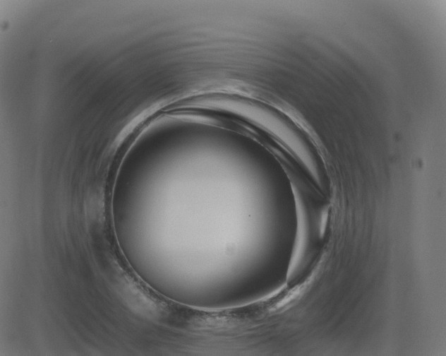 X0000081490834200701121508