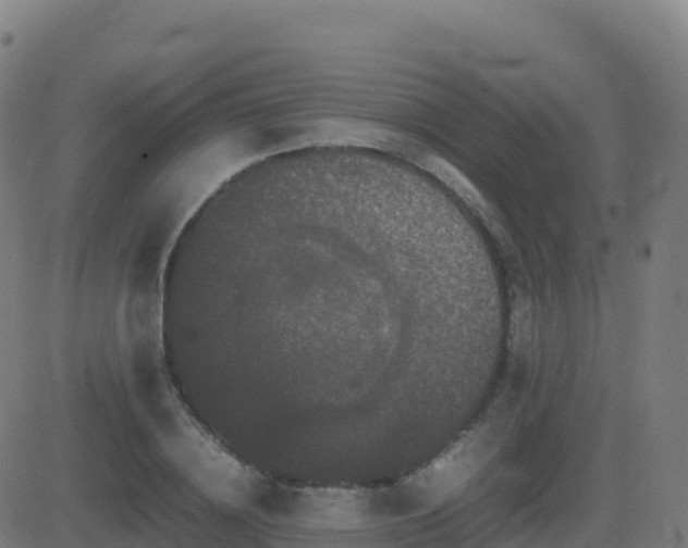 X0000081490836200701121508