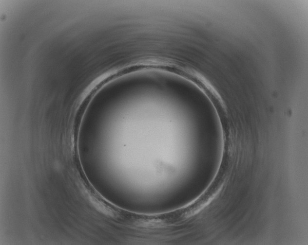 X0000081490837200701121508