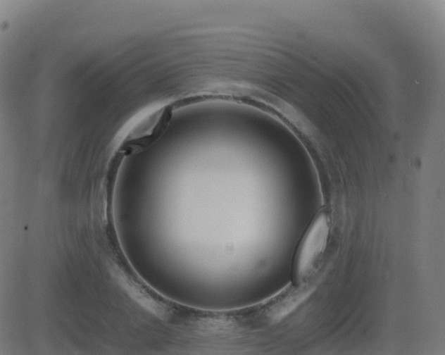 X0000081490838200701121508