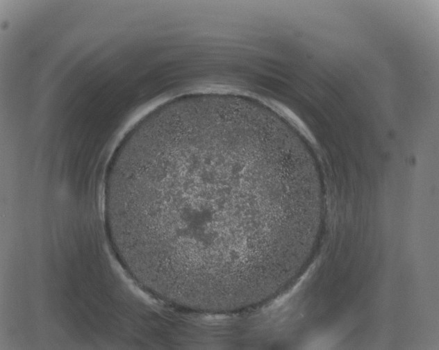 X0000081490839200701121508