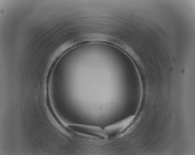 X0000081490840200701121508