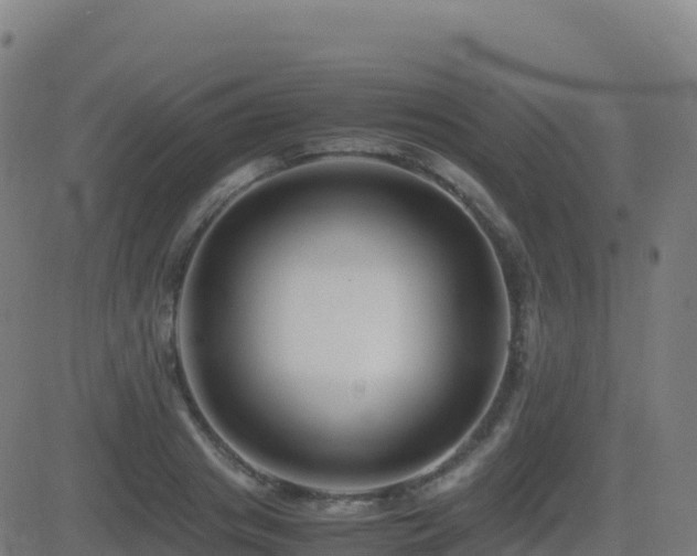 X0000081490841200701121508