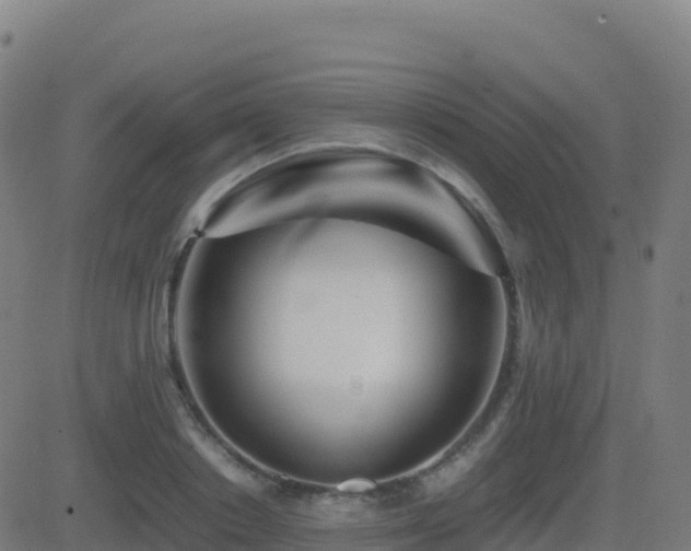 X0000081490842200701121508