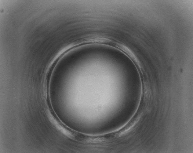 X0000081490843200701121508