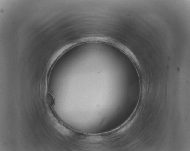 X0000081490844200701121508