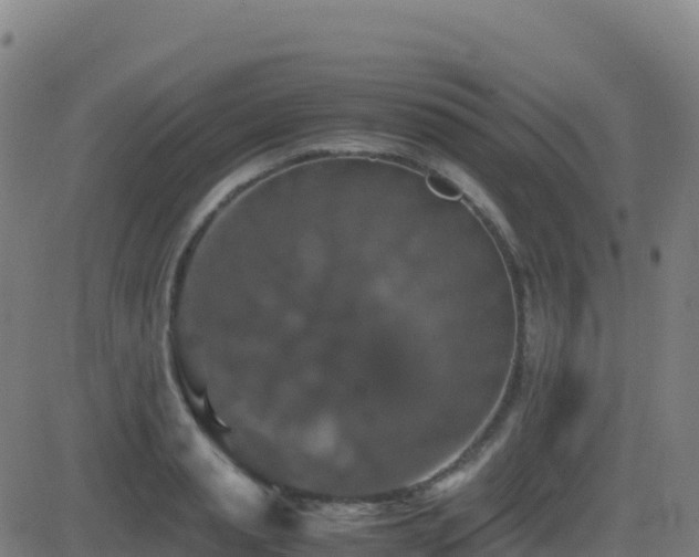 X0000081490845200701121508