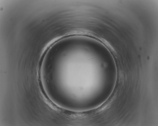 X0000081490846200701121508