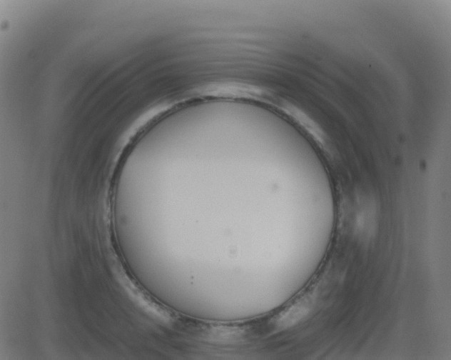 X0000081490848200701121508