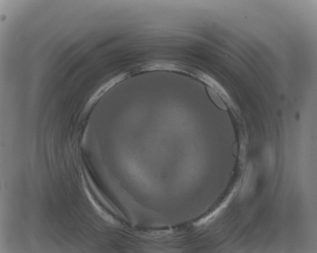 X0000081490849200701121508