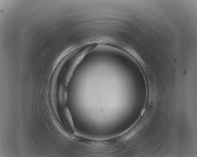 X0000081490850200701121508