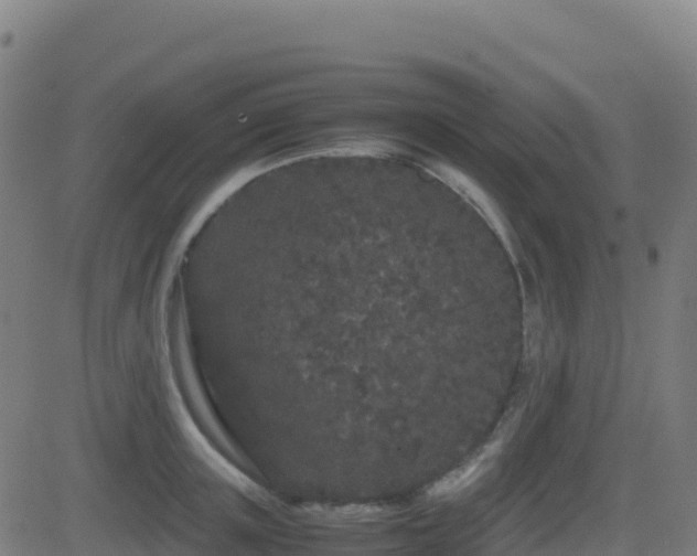 X0000081490851200701121508