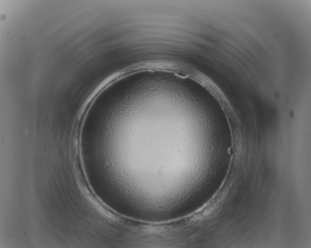 X0000081490852200701121508