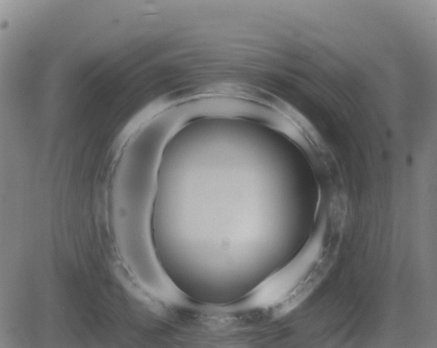 X0000081490854200701121508