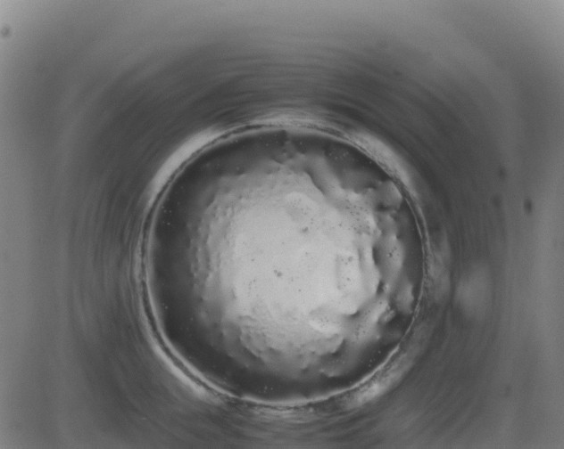 X0000081490855200701121508