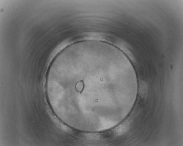 X0000081490856200701121508