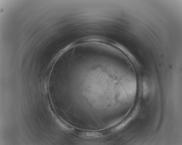 X0000081490857200701121508