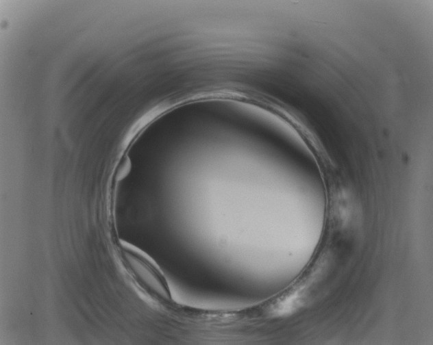 X0000081490858200701121508