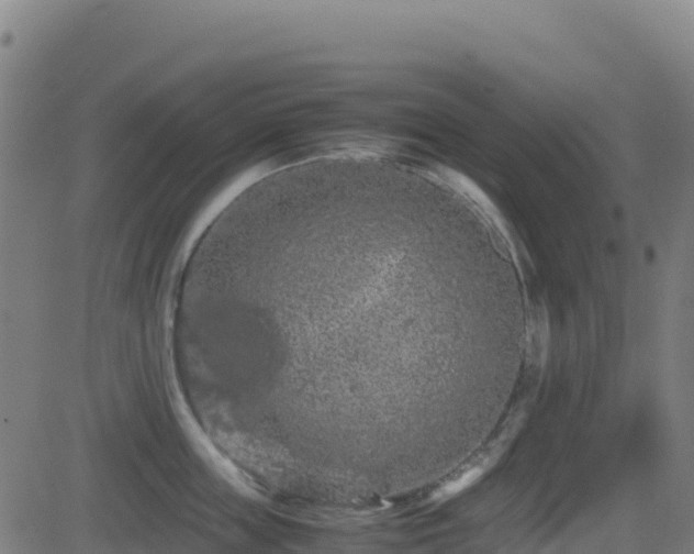 X0000081490859200701121508